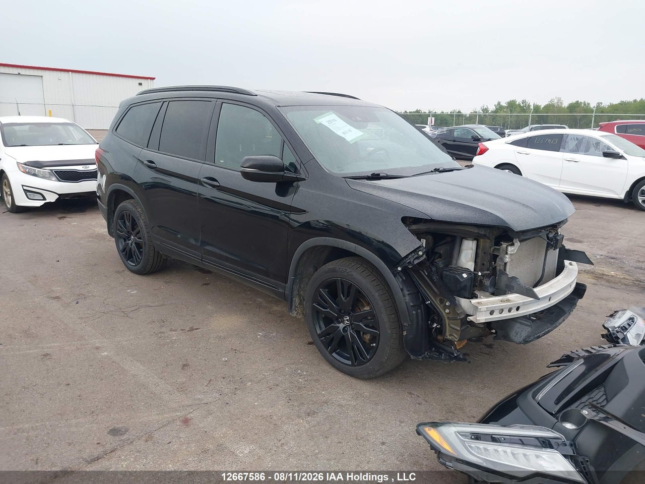 5FNYF6H02KB501730 · 2019 HONDA PILOT BLACK EDITION