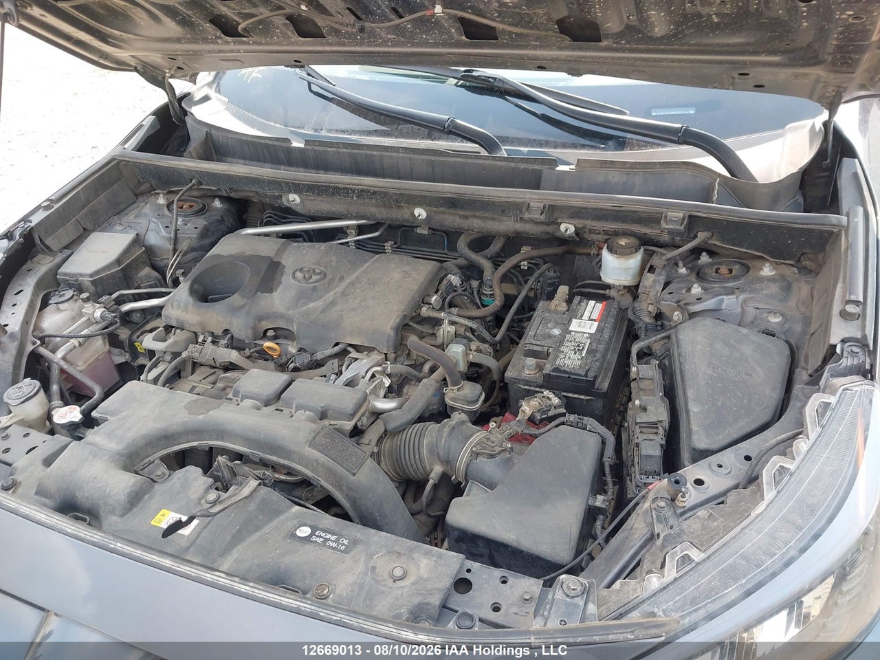 2T3B1RFV8KC020798 · 2019 TOYOTA RAV4 LE · 10/24