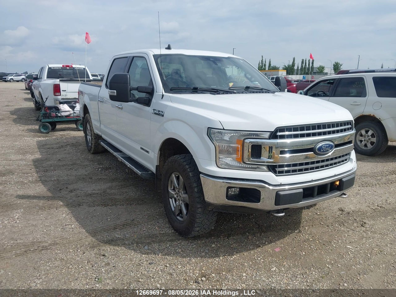 1FTFW1E14KFC70719 · 2019 FORD F-150 XLT