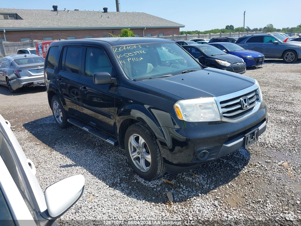 5FNYF4H28EB503976 · 2014 HONDA PILOT