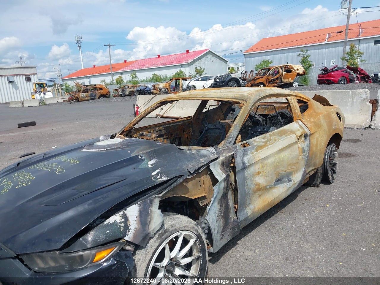 1FA6P8CFXH5273858 · 2017 FORD MUSTANG GT · 6/19