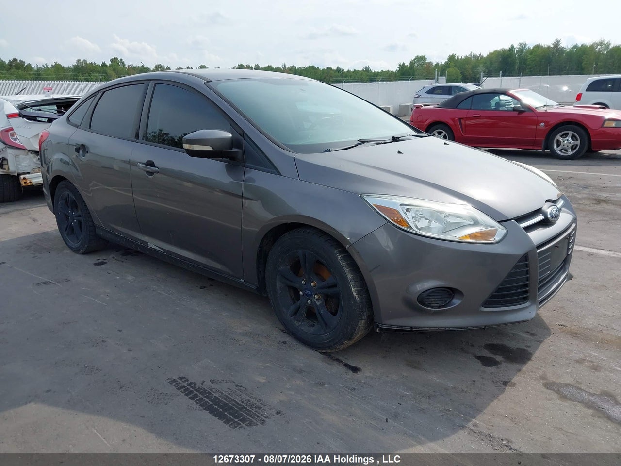 1FADP3F23EL426512 · 2014 FORD FOCUS SE