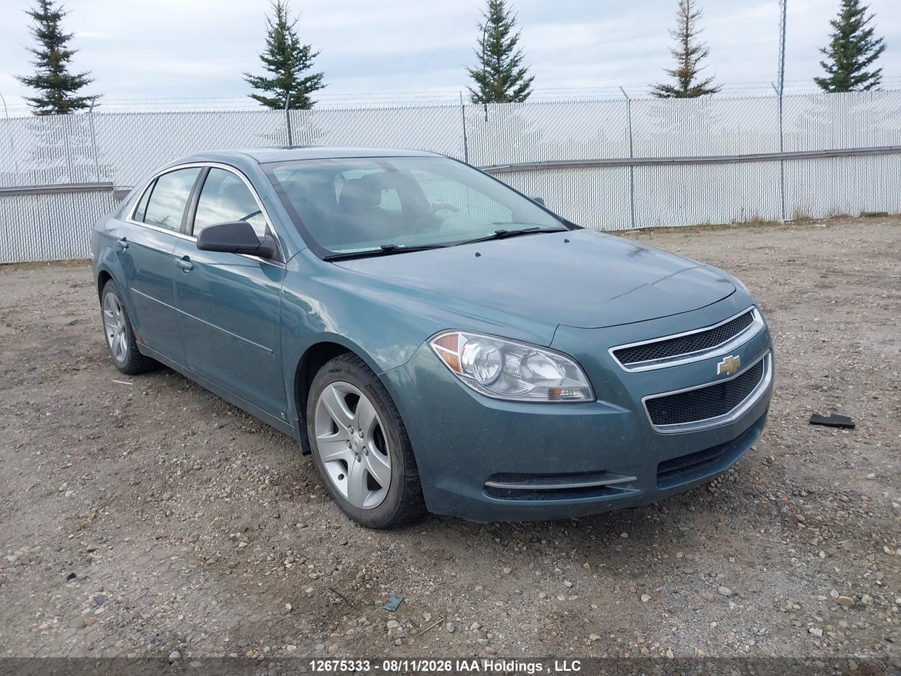 1G1ZG57B09F145954 · 2009 CHEVROLET MALIBU LS