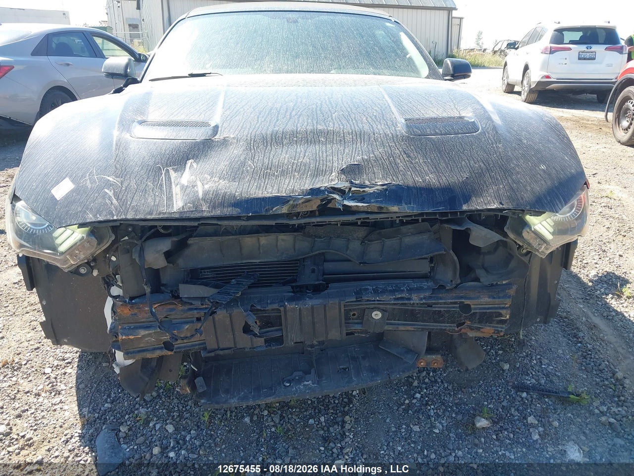 1FATP8UH3K5177029 · 2019 FORD Mustang Convertible · 6/17