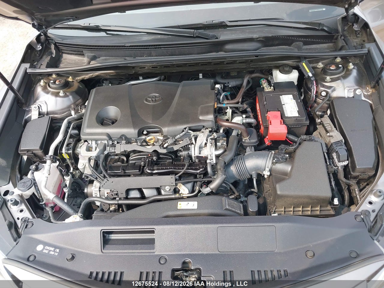 4T1F11AK9LU906847 · 2020 TOYOTA CAMRY XLE · 10/19