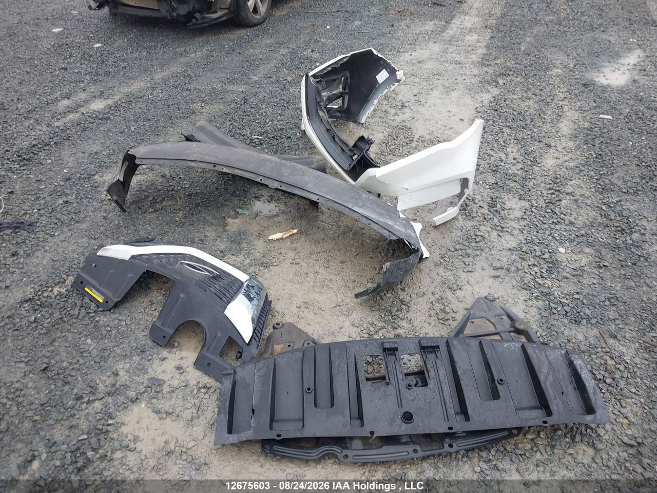 5N1AT2MV0LC789262 · 2020 NISSAN ROGUE S/SL/SV · 12/19