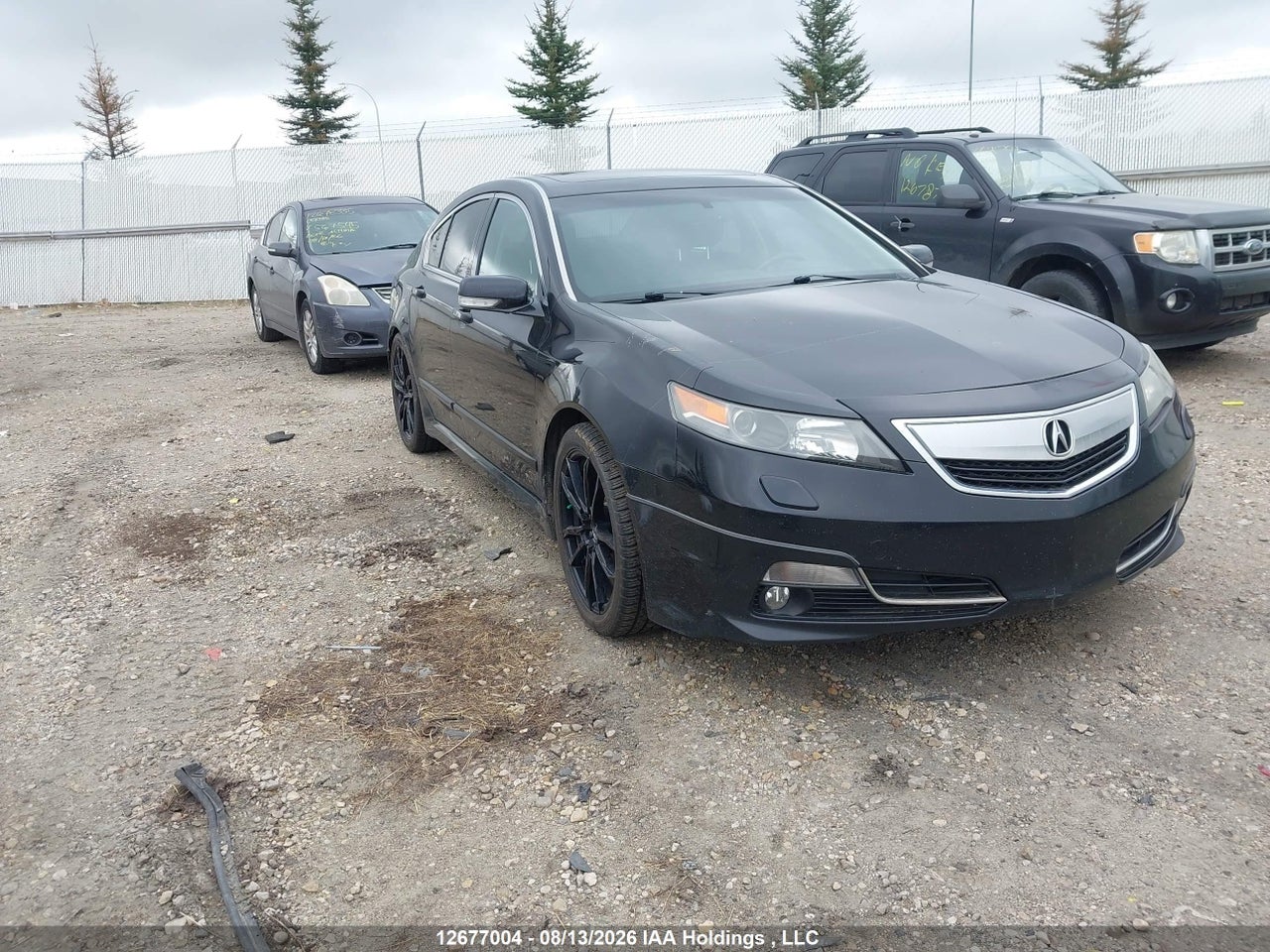 19UUA9F74CA803465 · 2012 ACURA TL