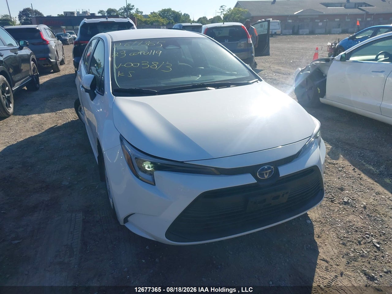 2023 TOYOTA COROLLA