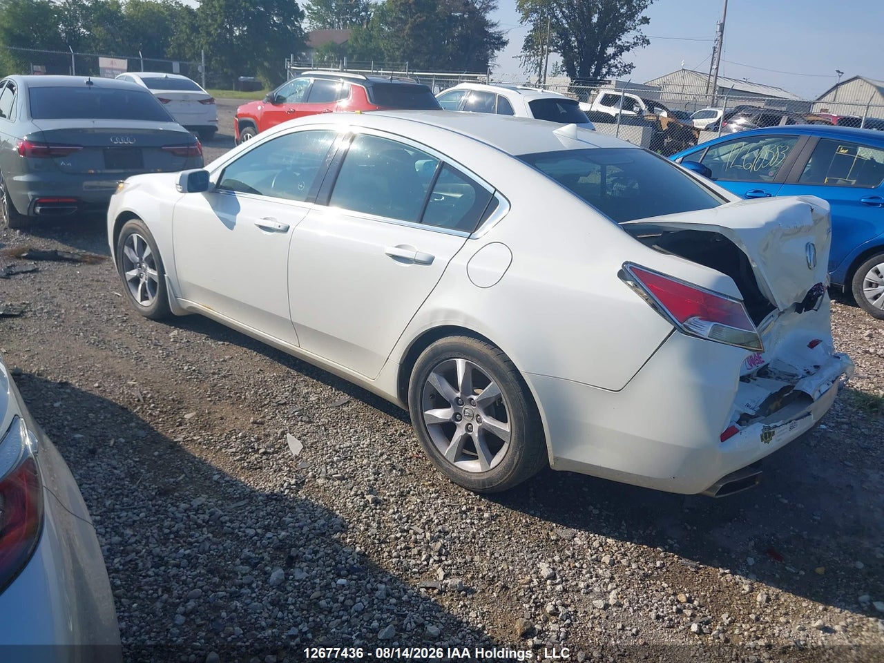 19UUA8F23DA800685 · 2013 ACURA TL · 3/16