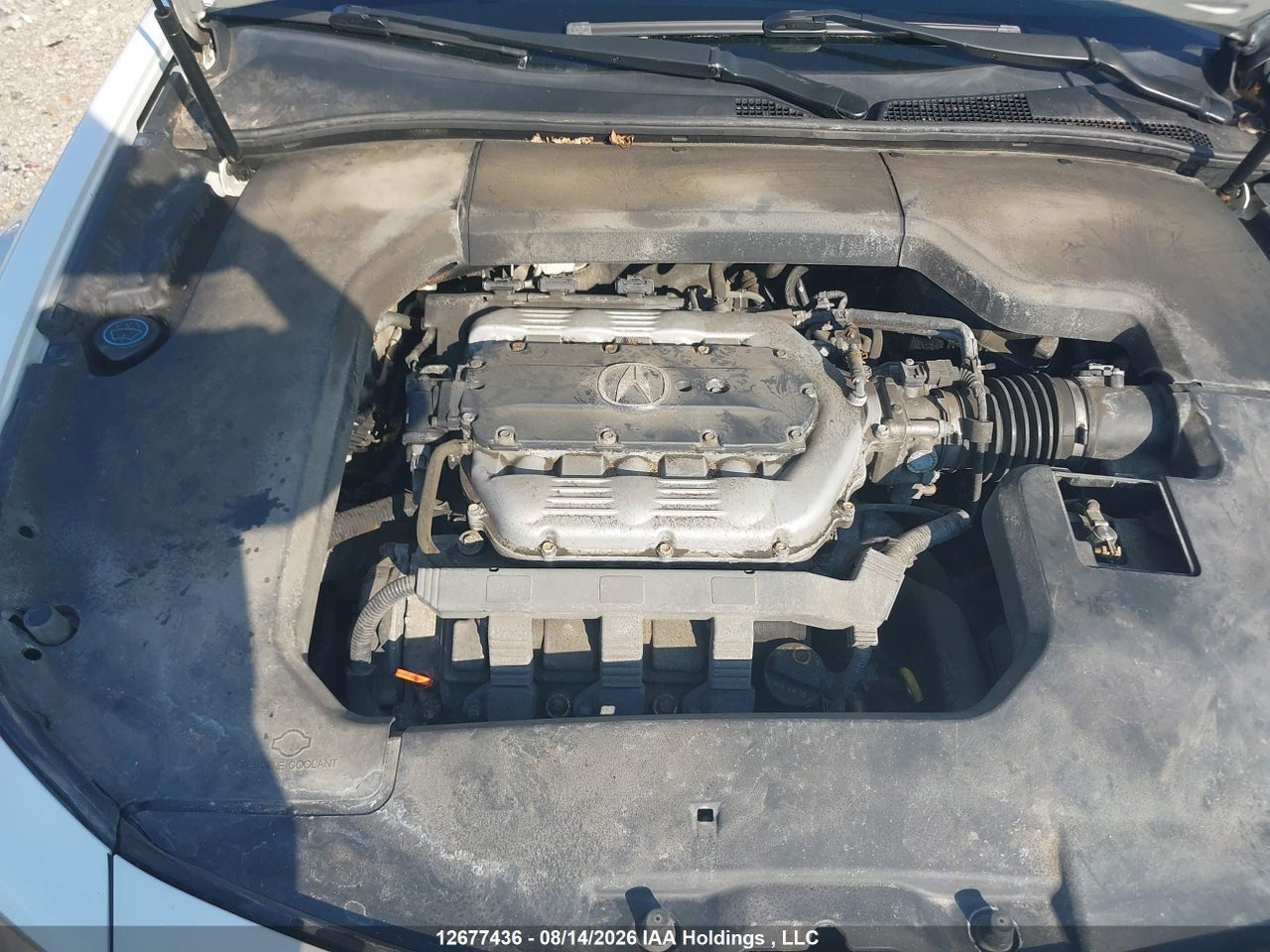 19UUA8F23DA800685 · 2013 ACURA TL · 10/16