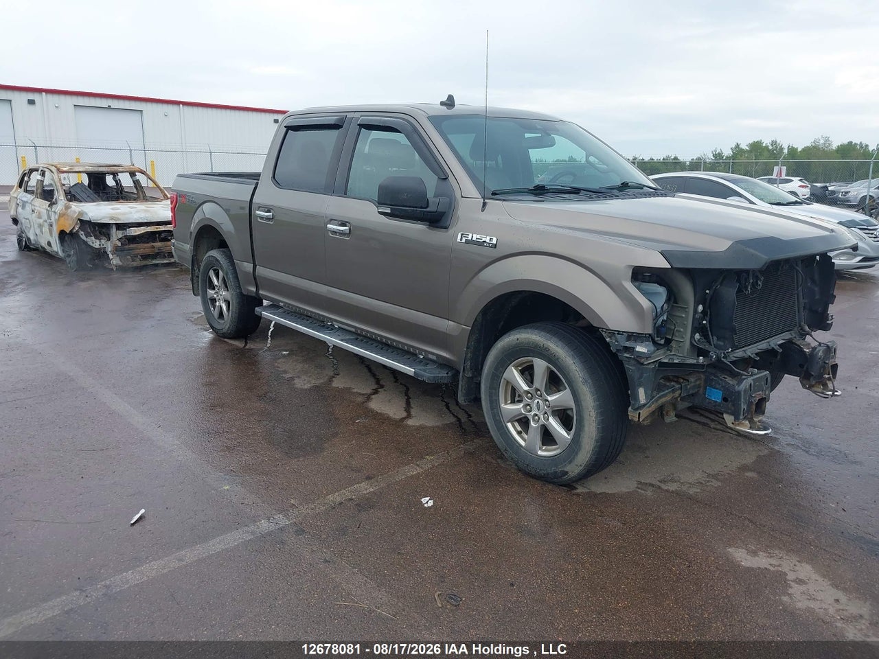 2019 FORD F-150 XLT
