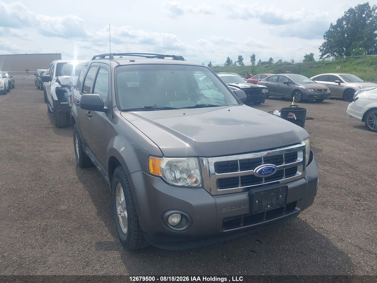 2012 FORD ESCAPE XLT