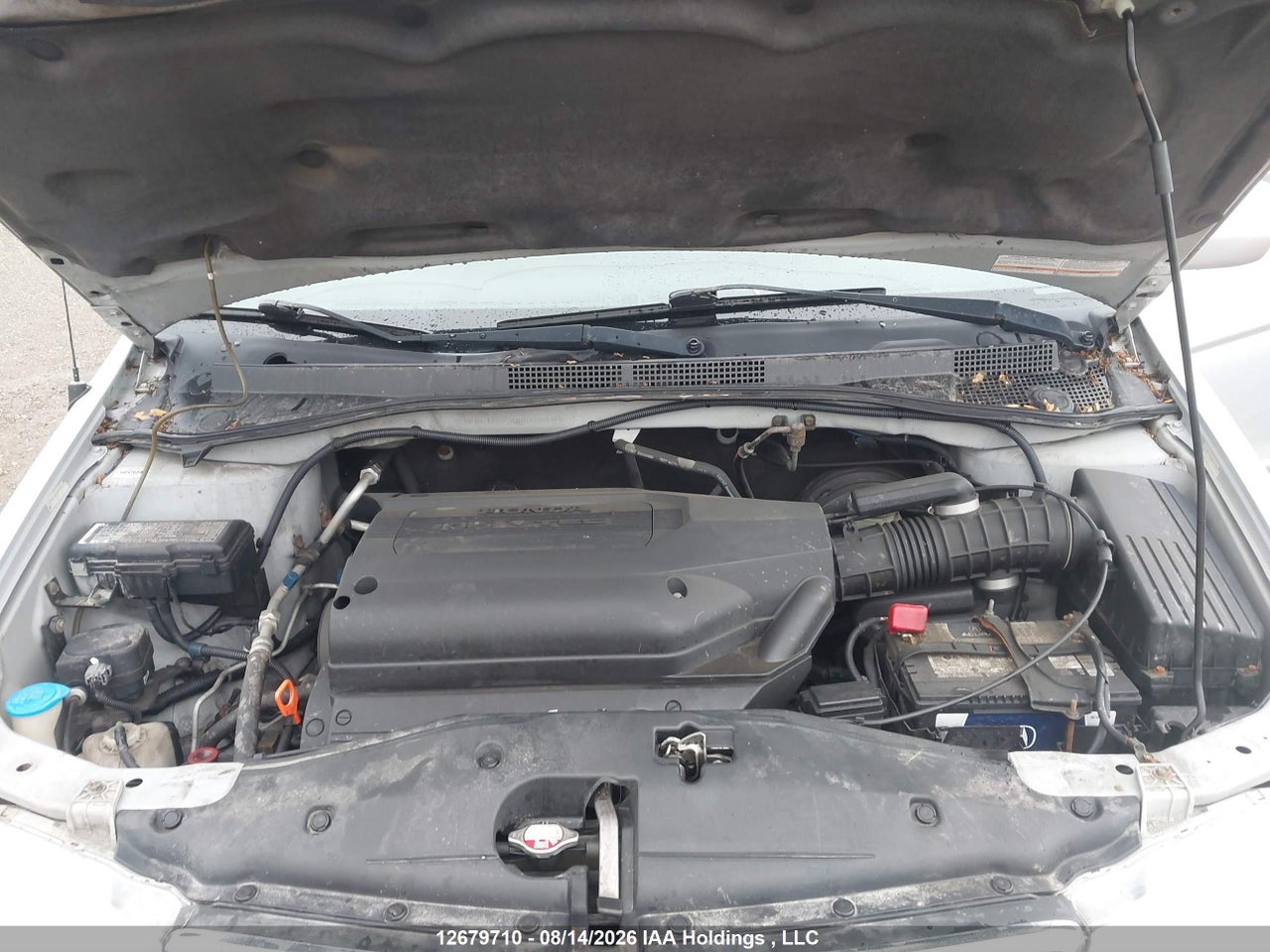 2HKRL18623H004281 · 2003 HONDA ODYSSEY · 10/18