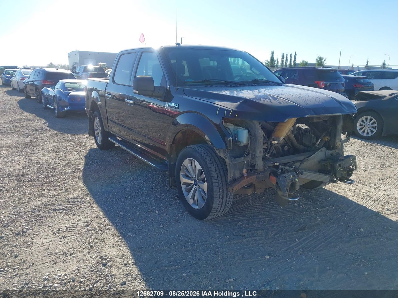 1FTEW1EF0HFA15923 · 2017 FORD F-150 XLT