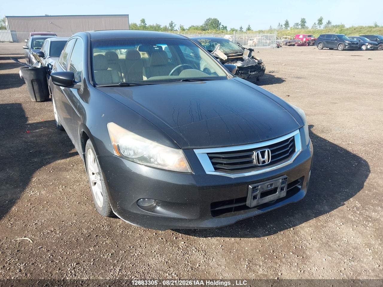 5KBCP3F81AB501054 · 2010 HONDA ACCORD EX-L V6