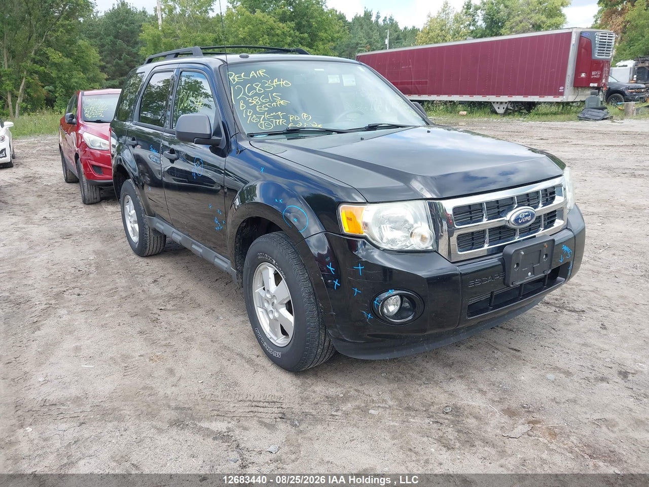 2010 FORD ESCAPE