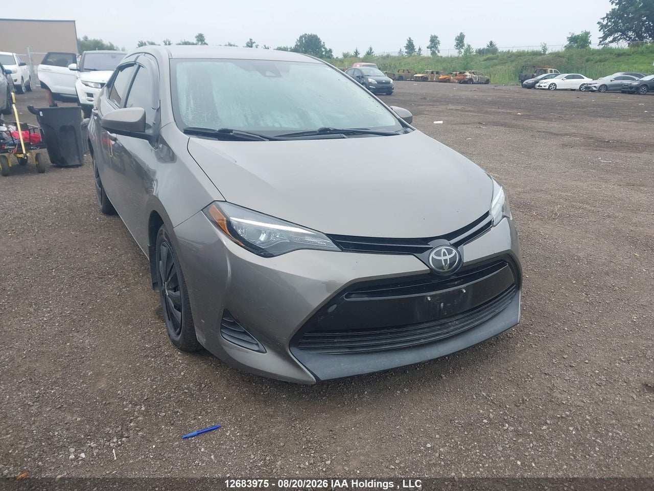 2019 TOYOTA COROLLA L/LE/XLE/SE/XSE