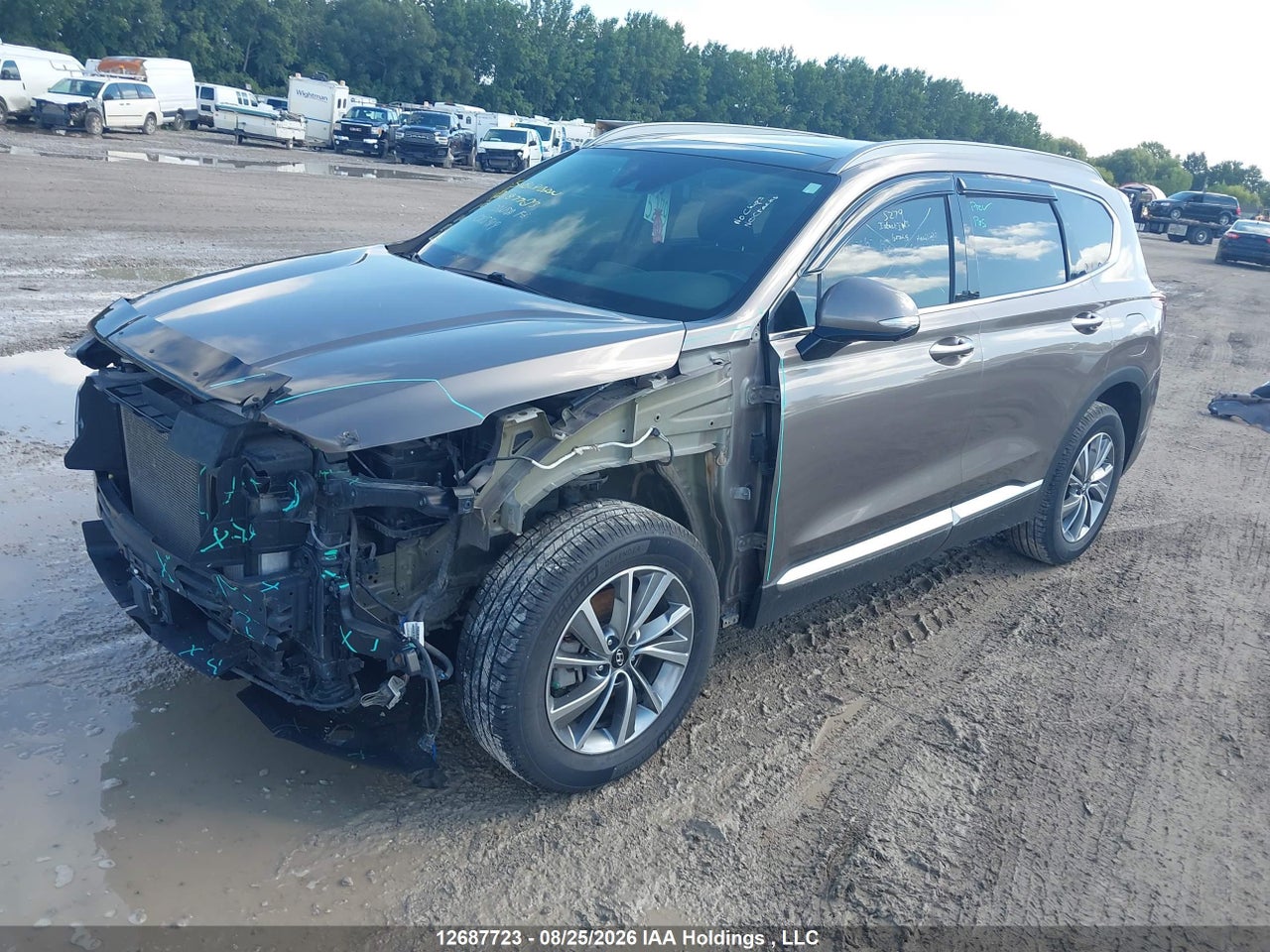 5NMS3CAA4KH015919 · 2019 HYUNDAI SANTA FE LUXURY · 2/21