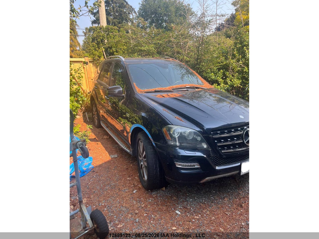 4JGBB2FB1BA679745 · 2011 MERCEDES BENZ ML 350 BLUETEC