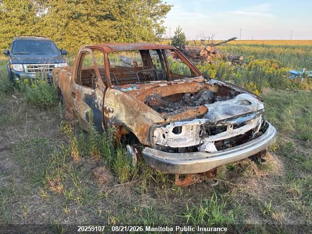 1FTRX18L03NB45599 · 2003 FORD F150 SUPERCAB