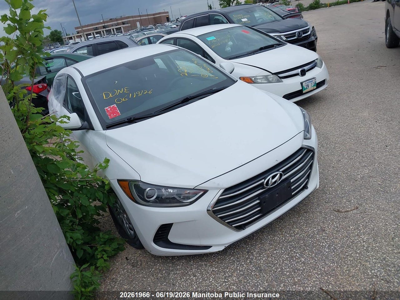 5NPD74LF5HH075747 · 2017 HYUNDAI ELANTRA LE