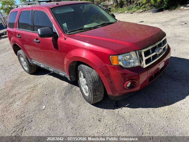 1FMCU0D71BKA10502 · 2011 FORD ESCAPE XLT