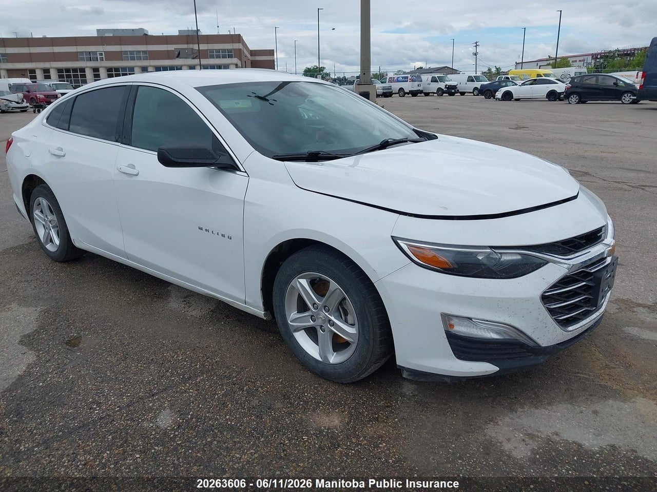 1G1ZB5ST3PF116167 · 2023 CHEVROLET MALIBU LS