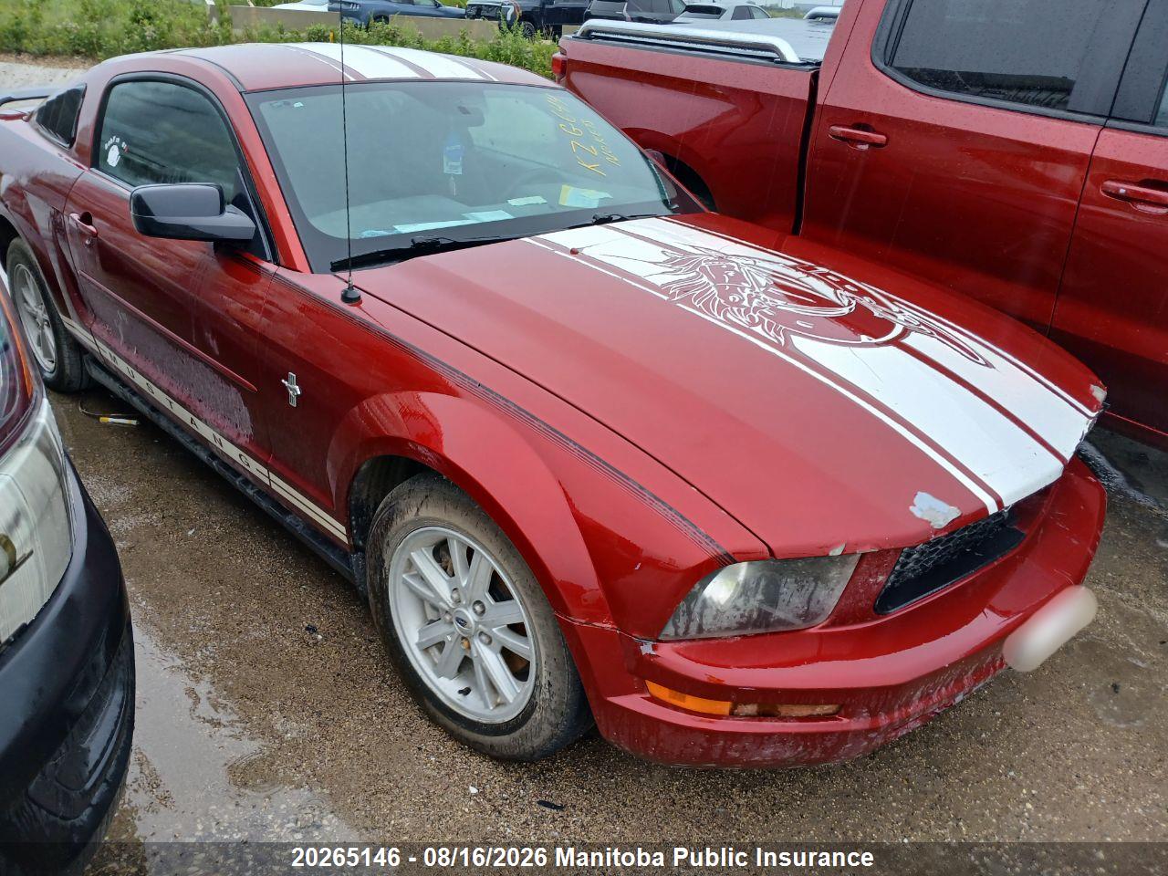 1ZVFT80N155114494 · 2005 FORD MUSTANG