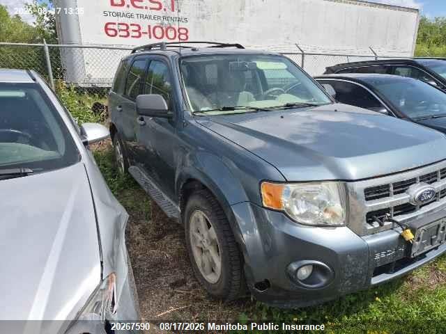 2010 FORD ESCAPE XLT