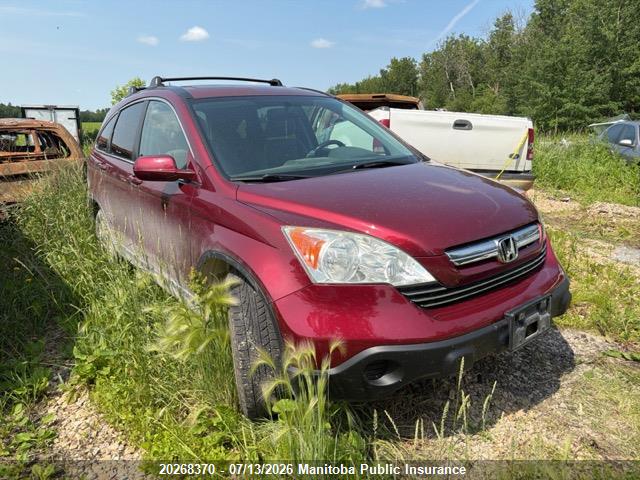 5J6RE48777L813307 · 2007 HONDA CR-V EX-L