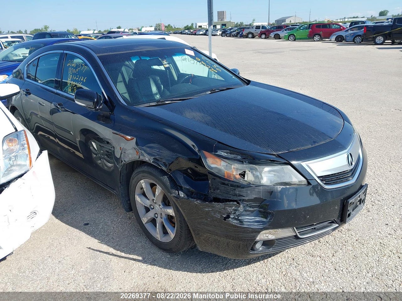19UUA8F52CA801366 · 2012 ACURA TL