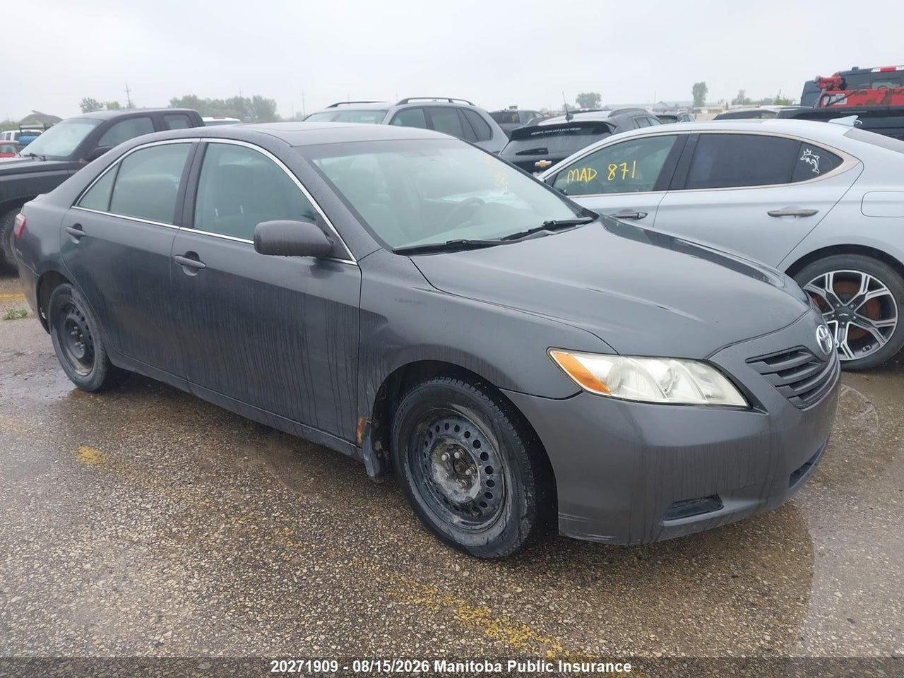 4T1BE46K37U698287 · 2007 TOYOTA CAMRY LE