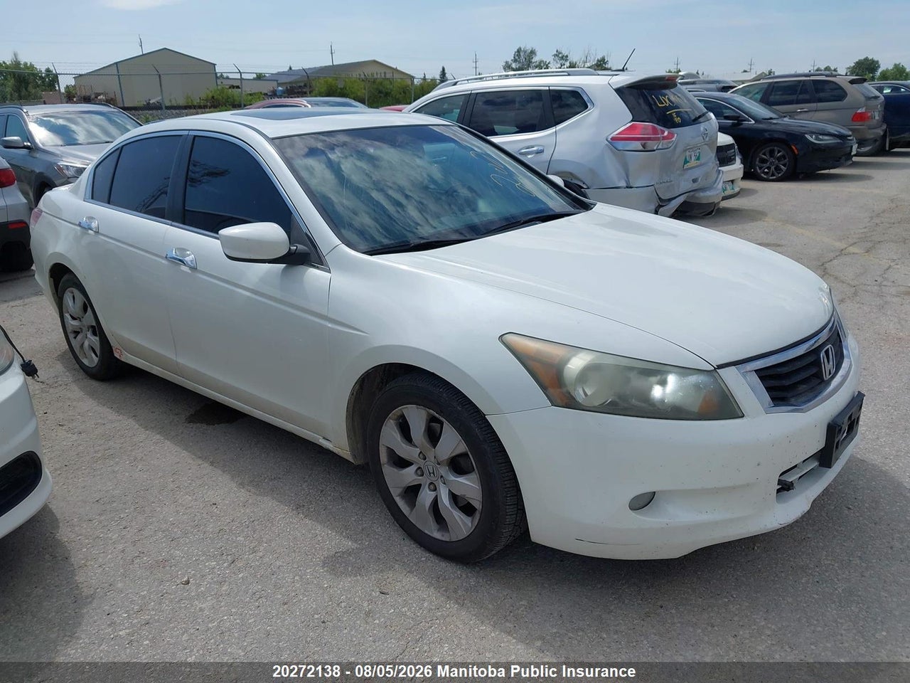 1HGCP36829A800556 · 2009 HONDA ACCORD EX-L V6