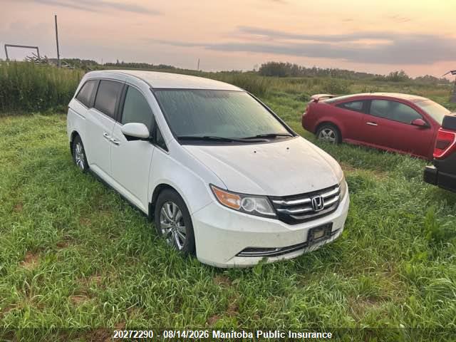 5FNRL5H45EB509822 · 2014 HONDA ODYSSEY EX