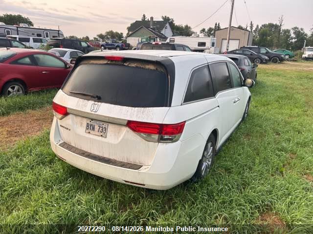 5FNRL5H45EB509822 · 2014 HONDA ODYSSEY EX · 4/13