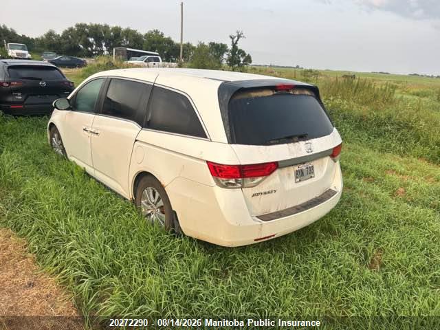5FNRL5H45EB509822 · 2014 HONDA ODYSSEY EX · 3/13