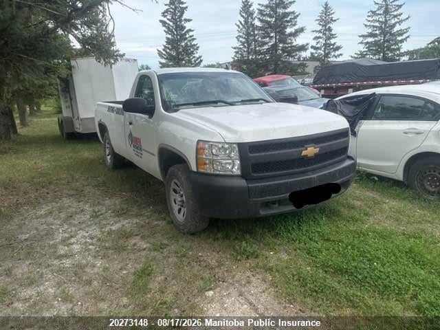 2008 CHEVROLET SILVERADO 1500 WT