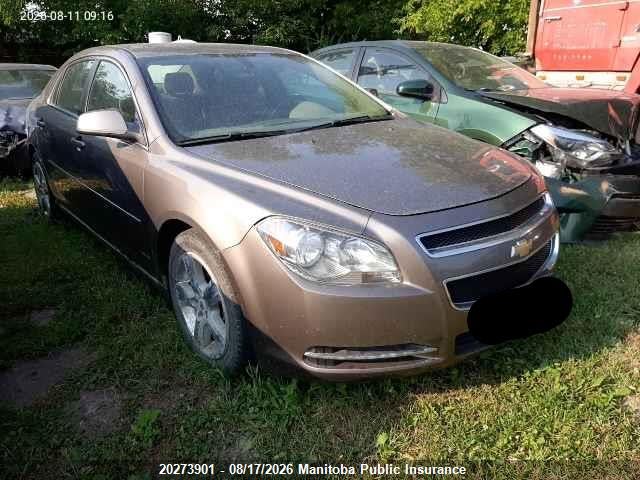 1G1ZD5EU3BF194259 · 2011 CHEVROLET MALIBU LT