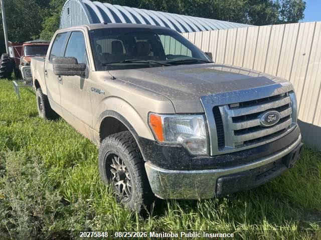 2011 FORD F150 XLT SUPERCREW