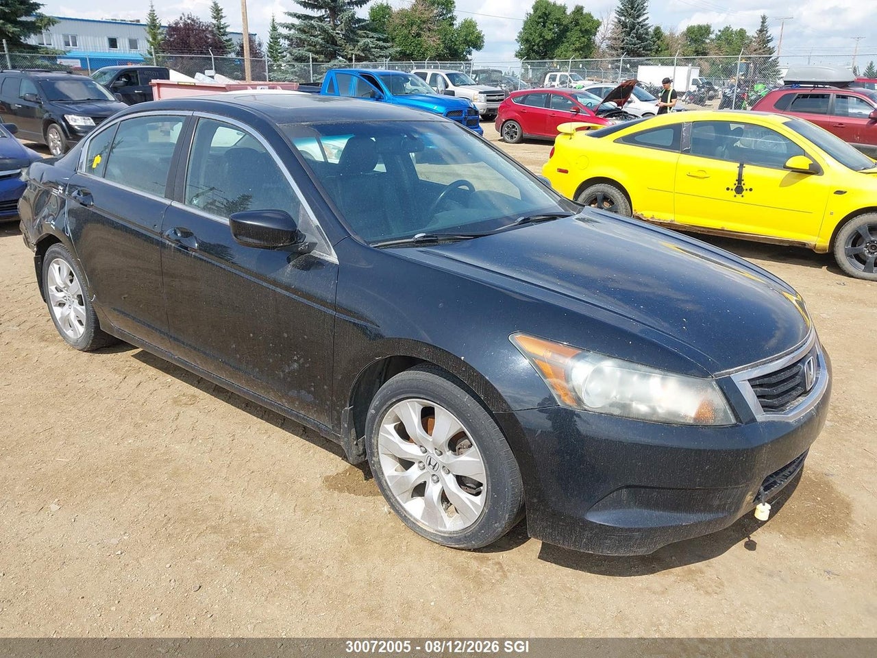 1HGCP2F82AA800443 · 2010 HONDA ACCORD EXL