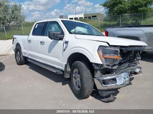 1FTFW3L89RKD78007 · 2024 FORD F150 XLT