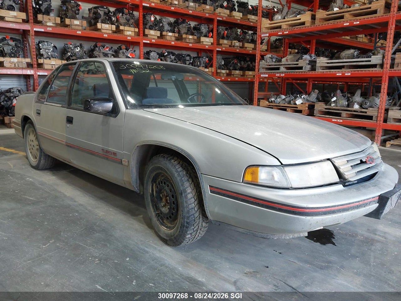 2G1WN51T9M9262539 · 1991 CHEVROLET LUMINA EURO