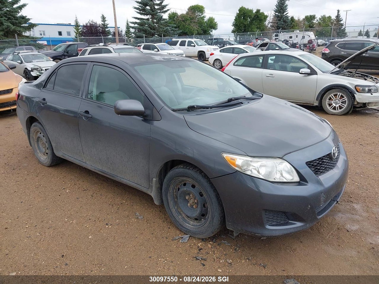 2T1BU40E09C137376 · 2009 TOYOTA COROLLA S/LE/XLE