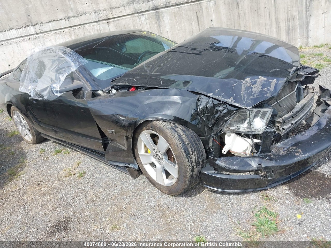 1ZVFT82H675296980 · 2007 FORD MUSTANG GT
