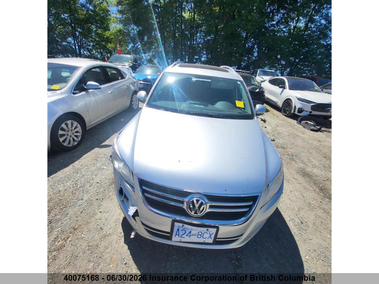WVGBV7AX8AW516759 · 2010 VOLKSWAGEN TIGUAN SE/SEL