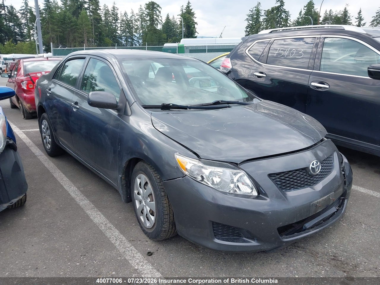 2T1BU40E99C101010 · 2009 TOYOTA COROLLA S/LE/XLE