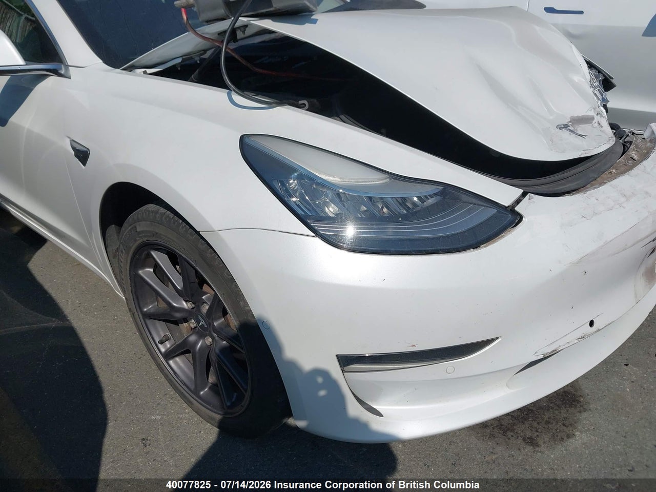 5YJ3E1EA7KF321902 · 2019 TESLA MODEL 3 · 12/23