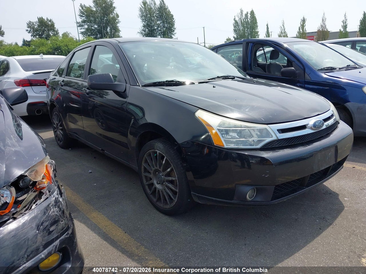 1FAHP36NX9W264636 · 2009 FORD FOCUS SES