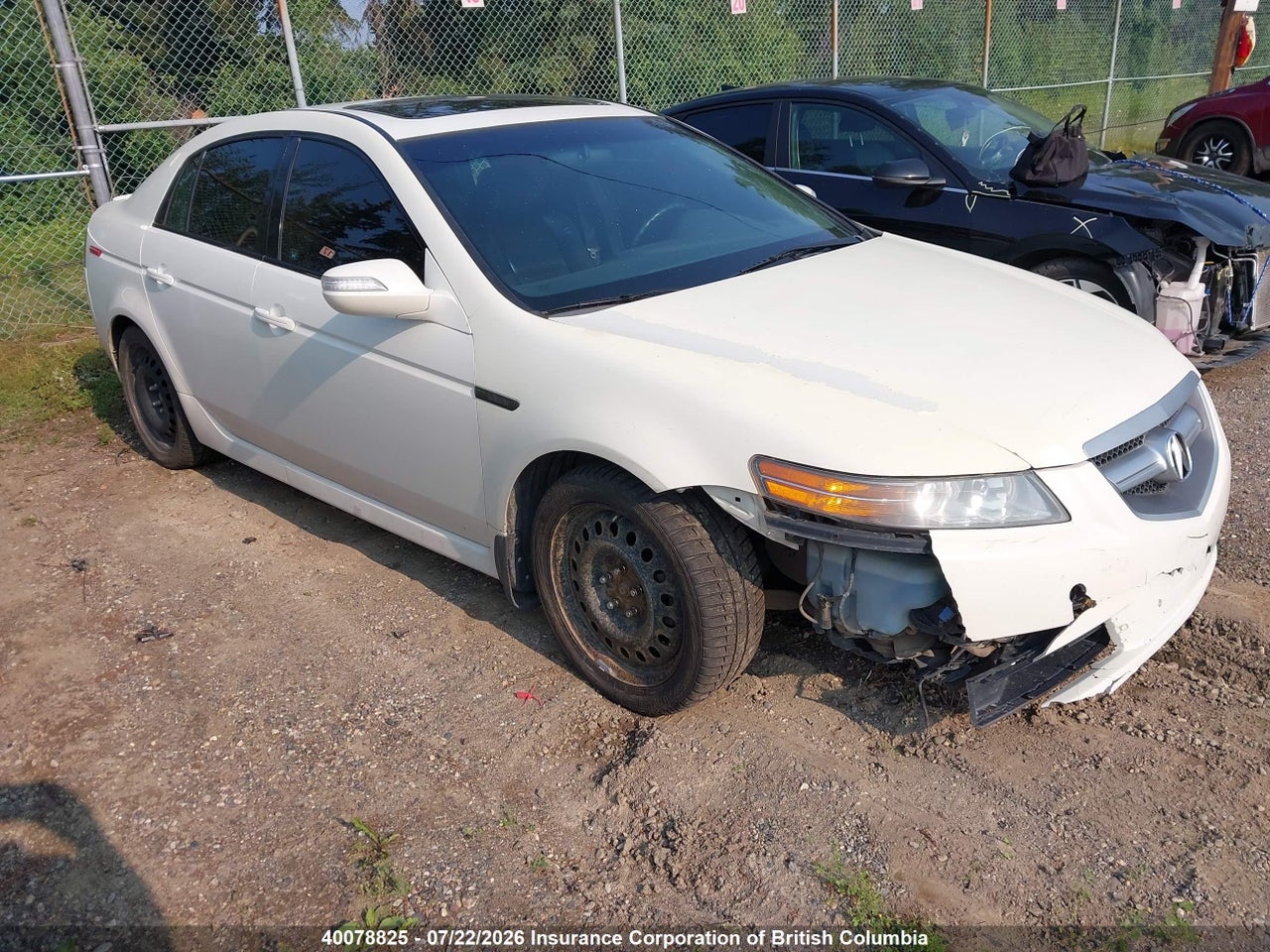 19UUA66238A801037 · 2008 ACURA TL