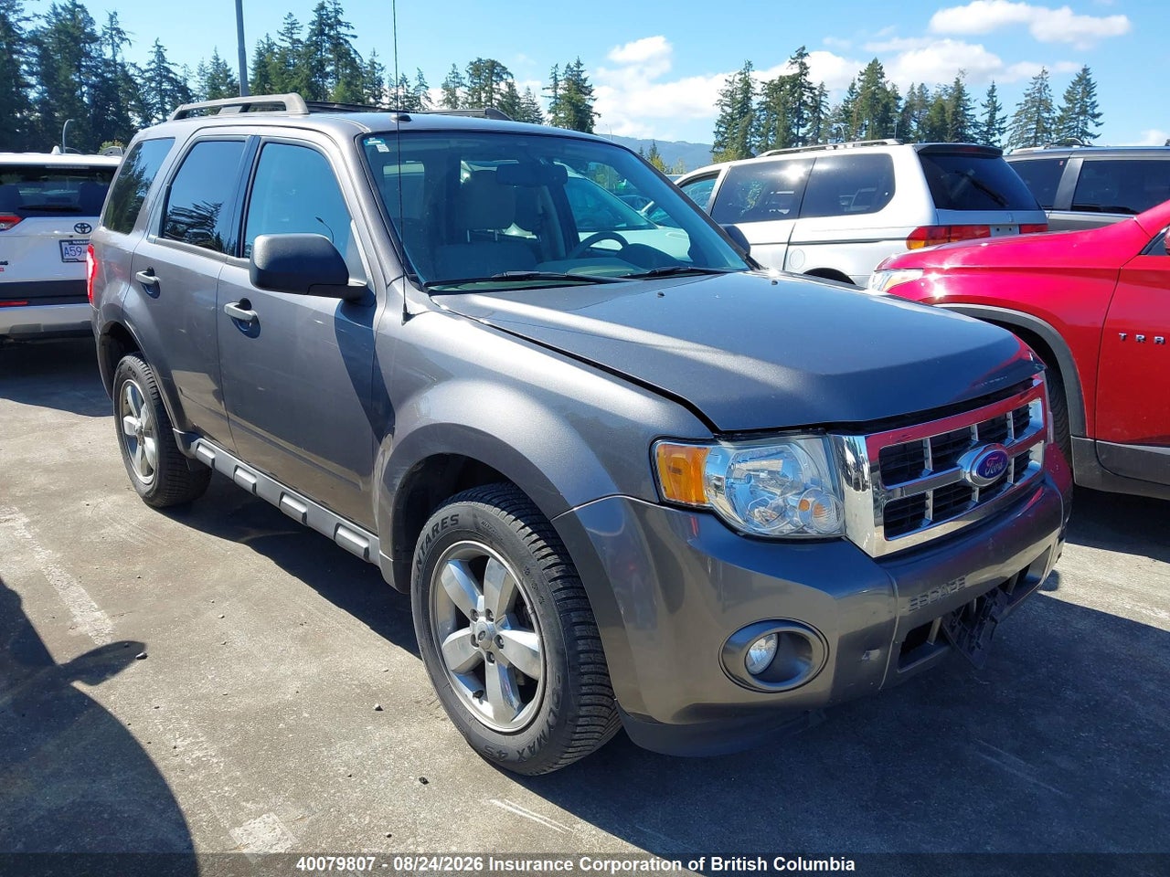 2011 FORD ESCAPE XLT